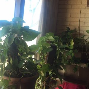 Meet your Posher, Karol